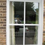 White sash windows